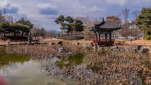 Gazebo next to small pond