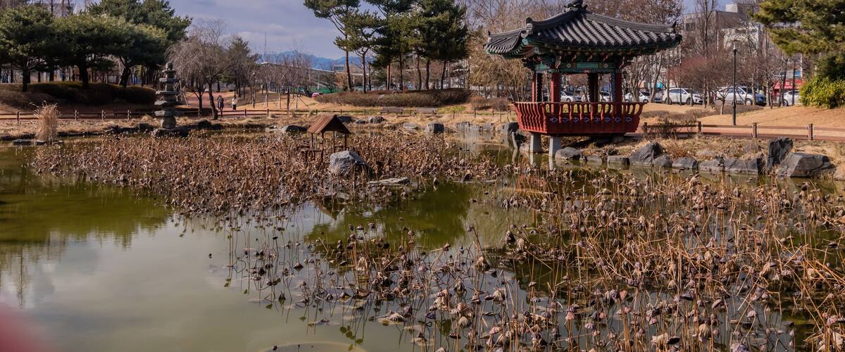 A traditional pavilion by a pond with reeds, trees, and a clear sky.