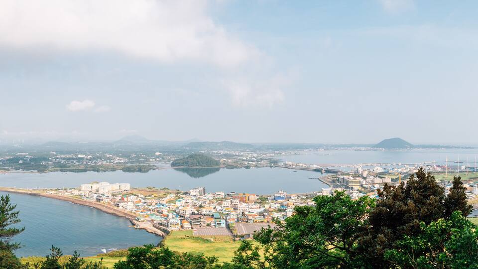 A coastal city with a bay, a bridge, and a mountain in the distance.