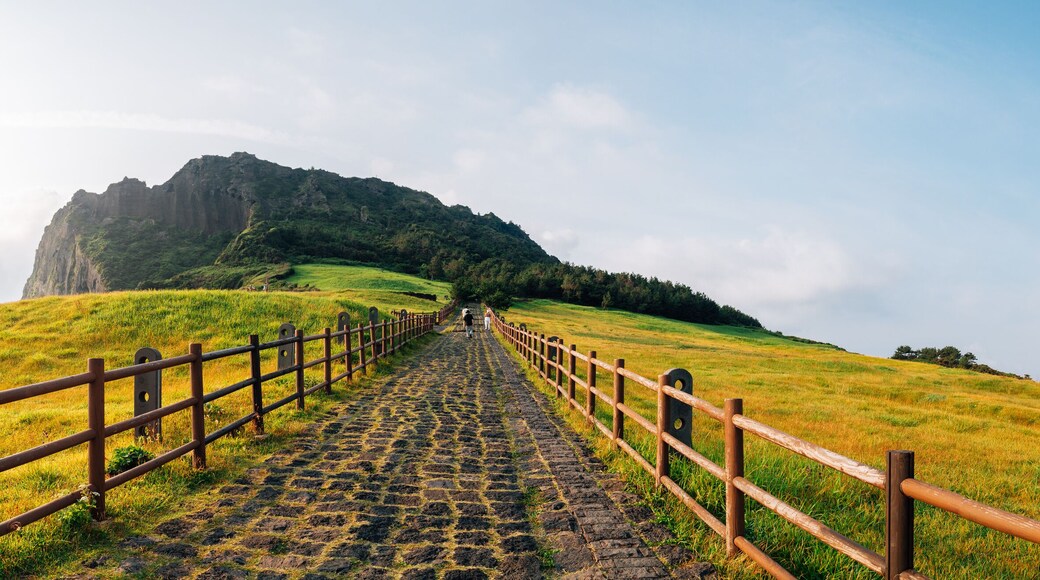 Panoramic view of Seongsan Ilchulbong Tuff Cone in Jeju Island, Korea