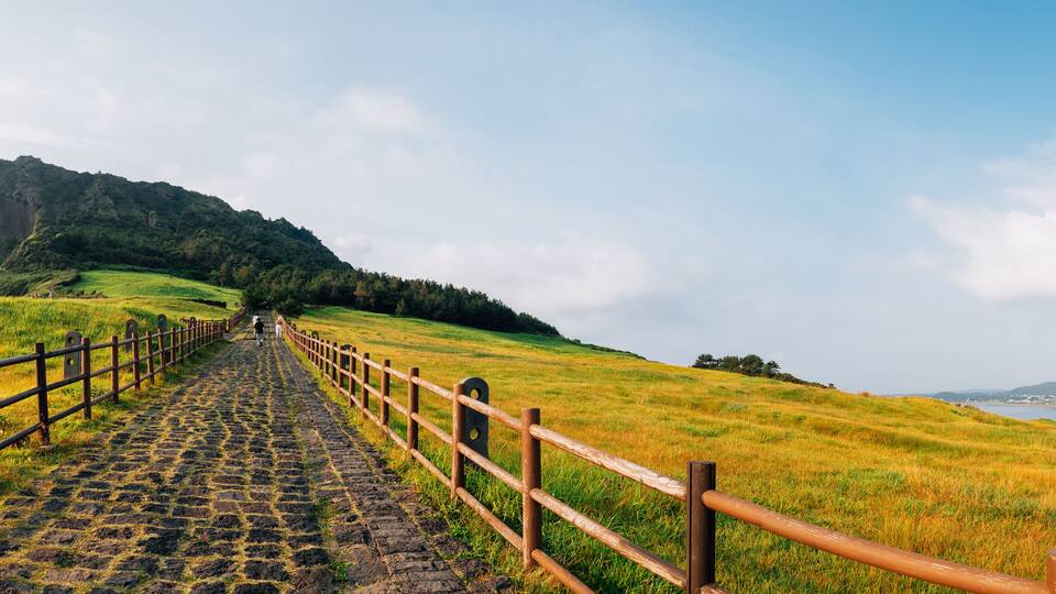 A cobblestone path leading up a grassy hill with a wooden fence, a mountain in the background, and a distant view of buildings and water.