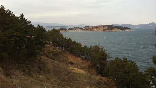 거제시, 대한민국