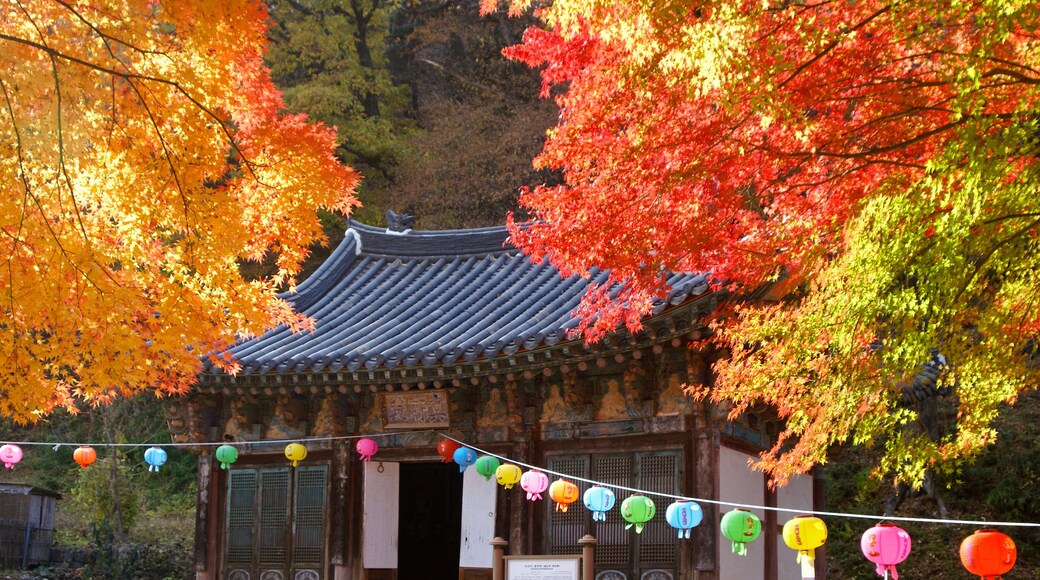 Brilliant autumn foliage and colorful paper lanterns frame a small shrine at Magoksa Buddhist temple, Gongju, South Korea.