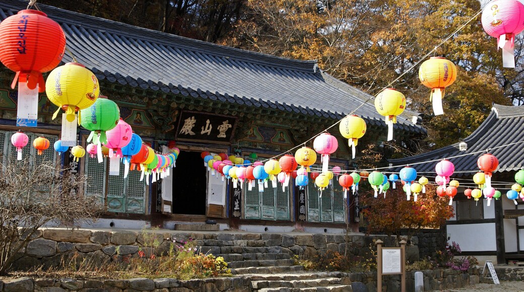Colorful paper lanterns frame a small shrine in autumn at Magoksa Buddhist temple, Gongju, South Korea.