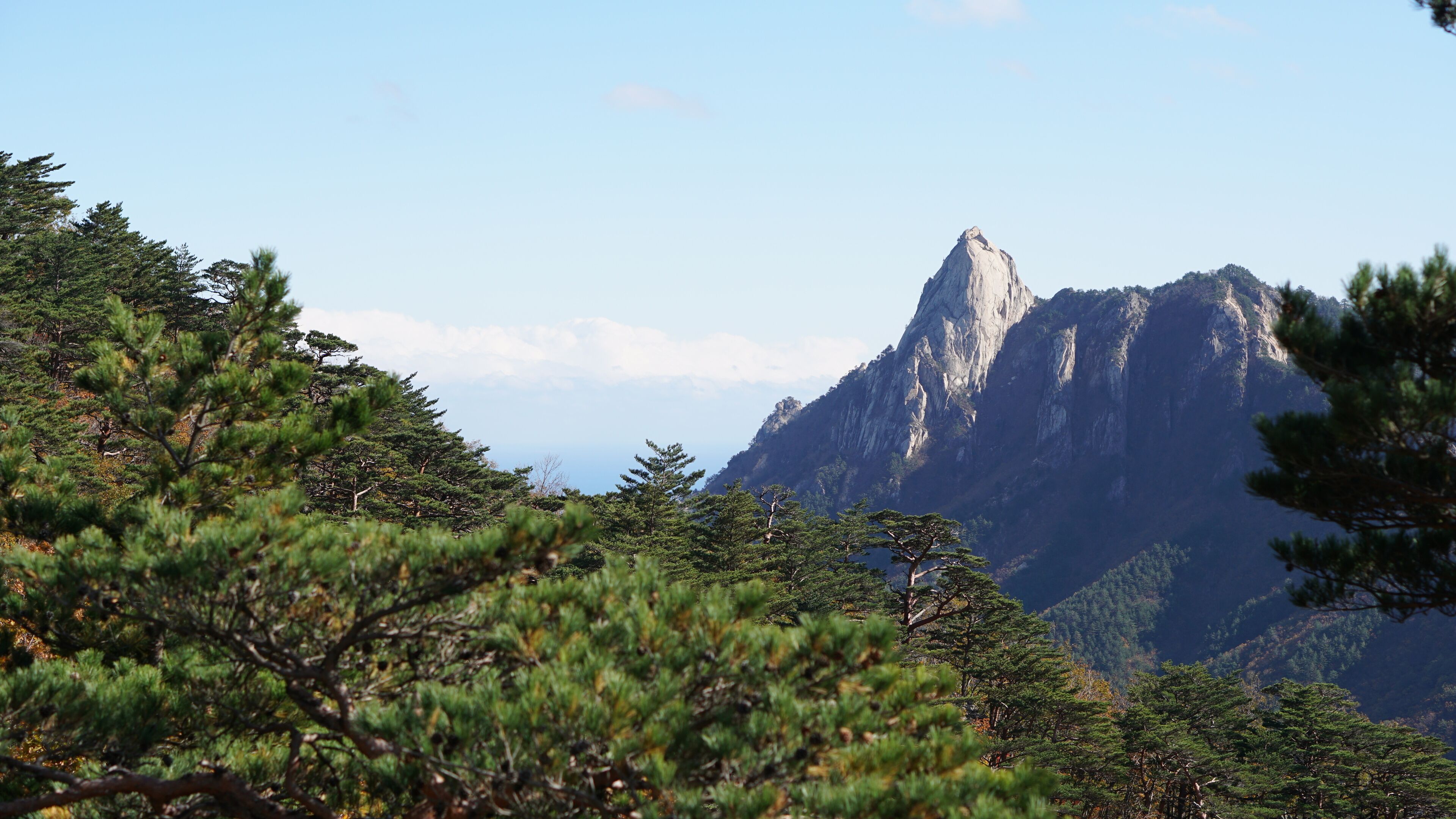 Autumn forest and mountain in Seoraksan National Park, Sokcho in South Korea.	
