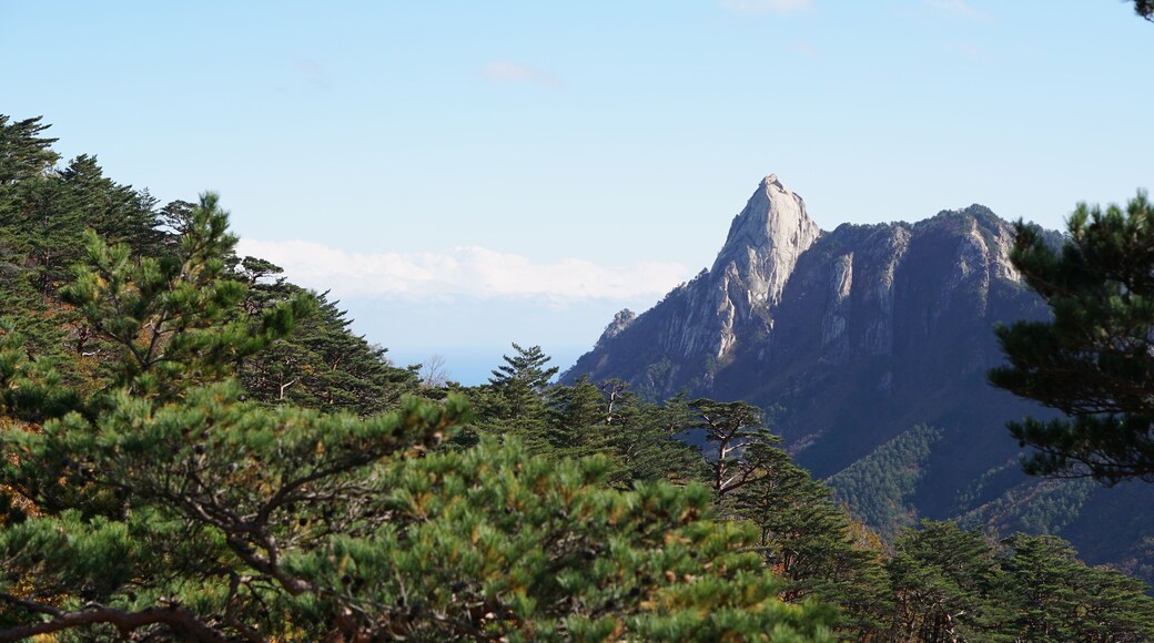 Autumn forest and mountain in Seoraksan National Park, Sokcho in South Korea.