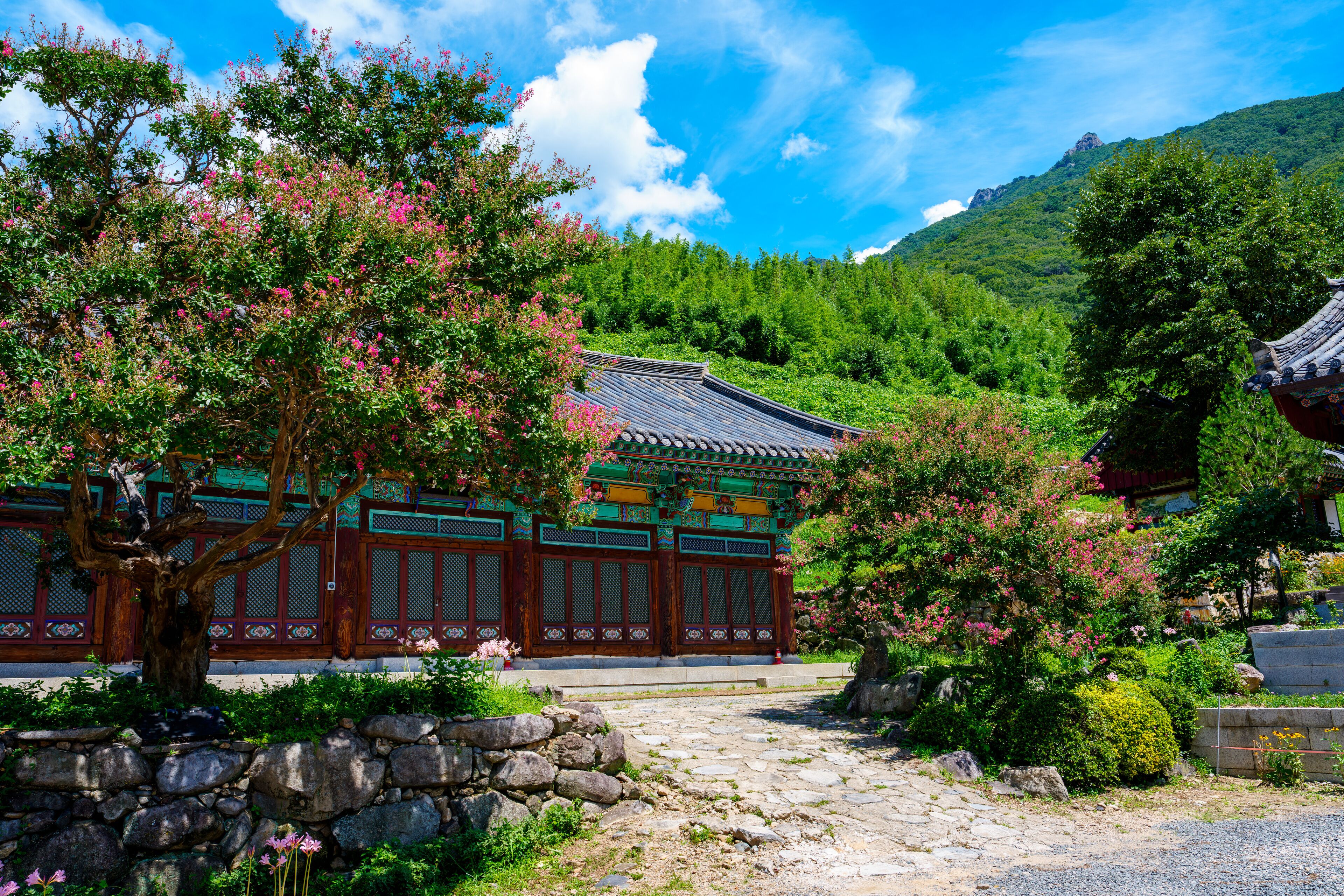 A view of Pyochungsa Temple, an old cultural heritage site in Miryang, Korea, with red Crape Myrtle flowers in full bloom in early summer.
