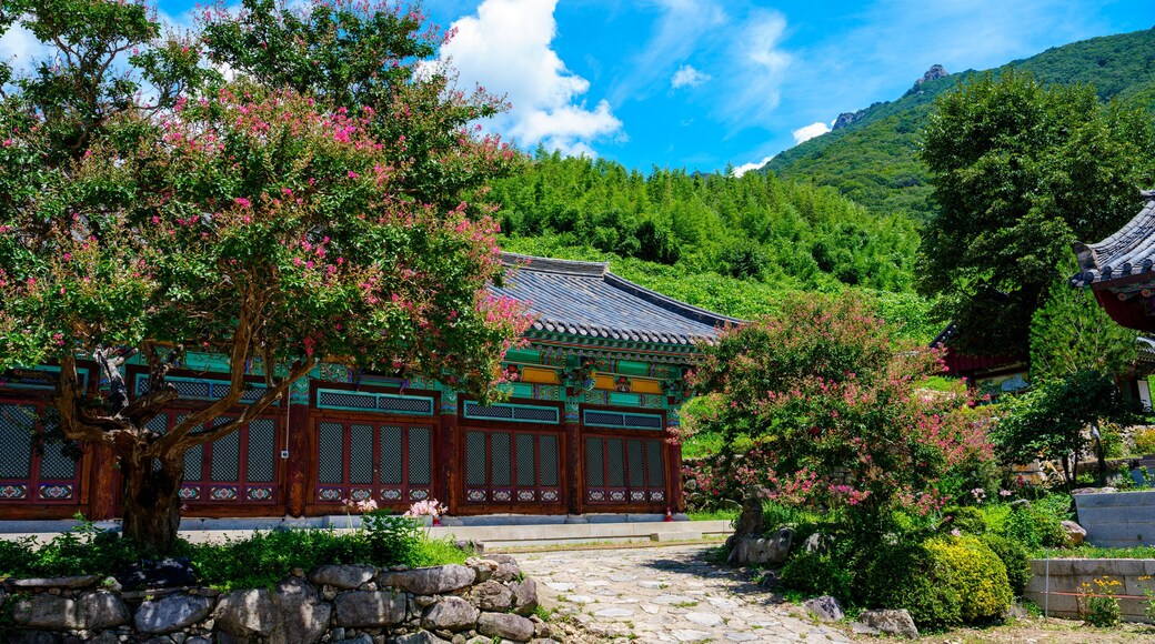 A view of Pyochungsa Temple, an old cultural heritage site in Miryang, Korea, with red Crape Myrtle flowers in full bloom in early summer.