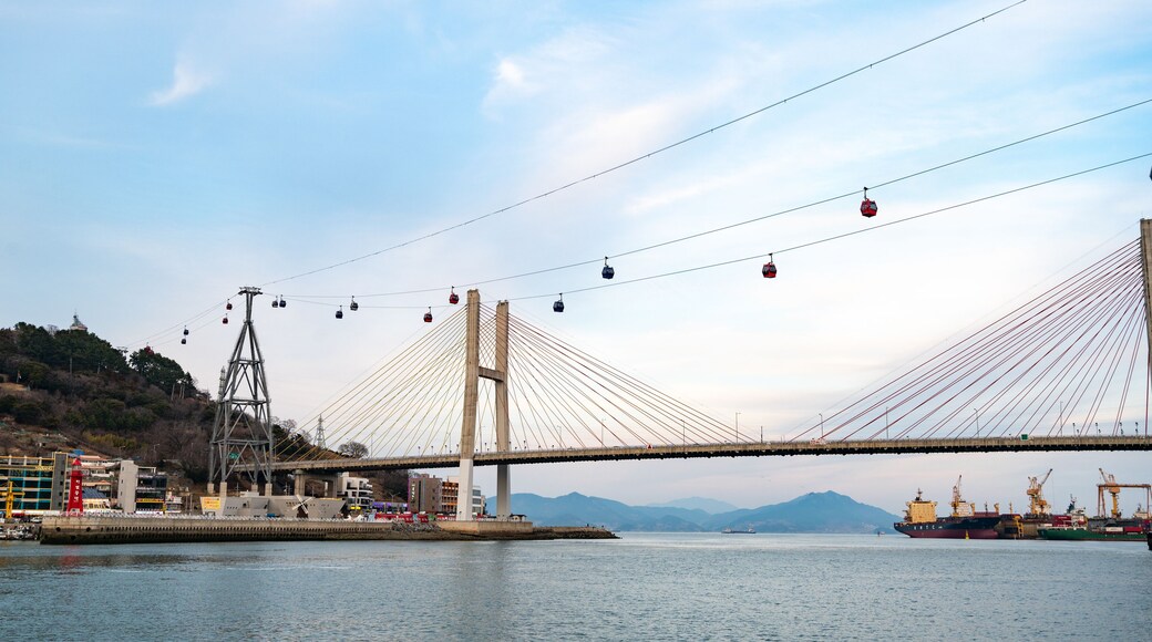 هايانغ مايون