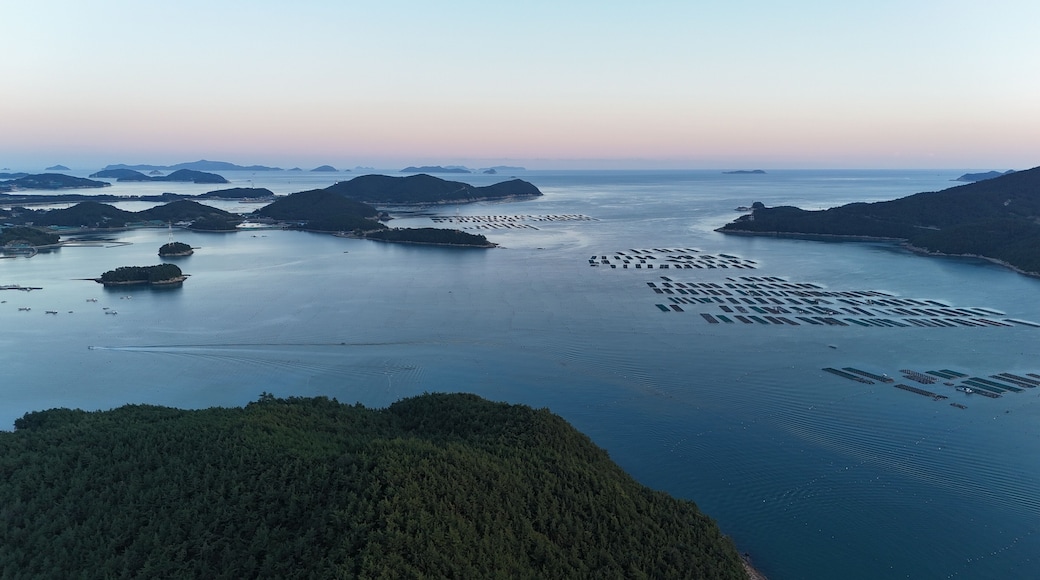 هايانغ مايون