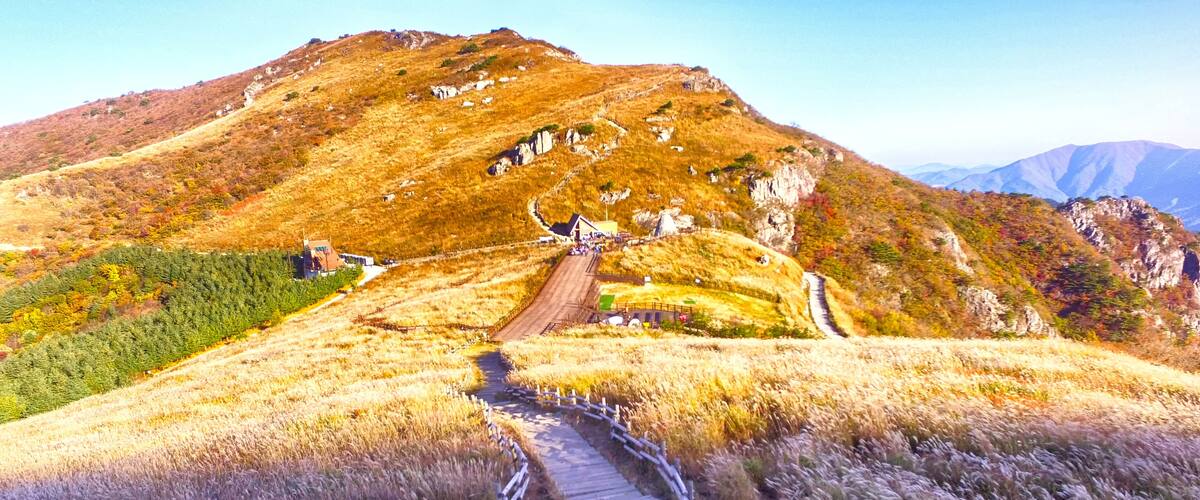 Ganwoljae Eogsae Festival in Sinbulsan Mountain, Uljugun, Ulsan, South Korea, Asia