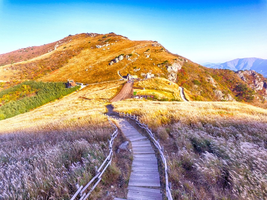 Ganwoljae Eogsae Festival in Sinbulsan Mountain, Uljugun, Ulsan, South Korea, Asia