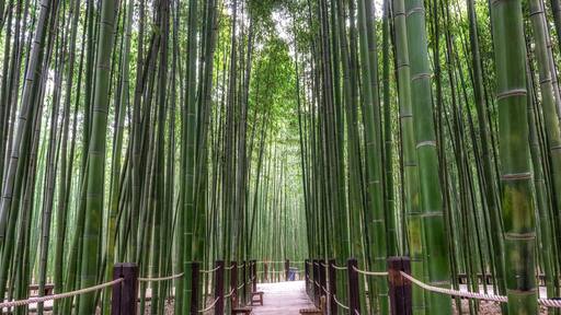 エオンヤンウプ