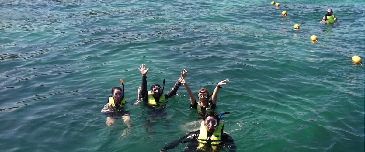 A group of people snorkeling in clear turquoise water with a forested hill in the background.