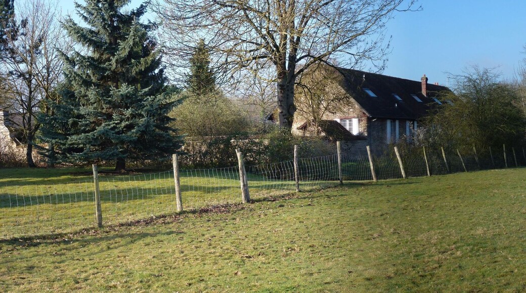 Pré à côté de Maison Rouge à Gretz-Armainvilliers (1)