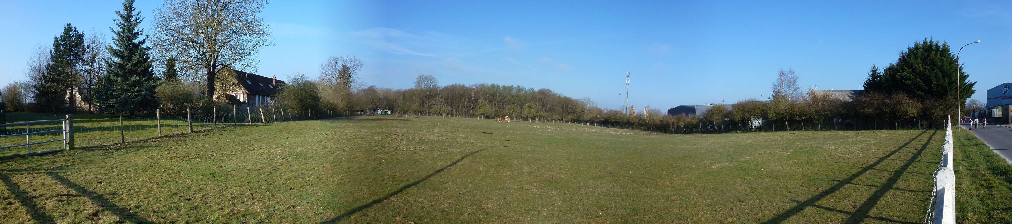 Pré à côté de Maison Rouge à Gretz-Armainvilliers (2)
