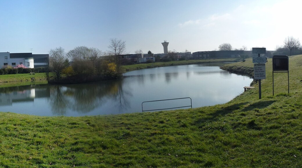 Étang le long de la zone artisanale Eiffel de Gretz-Armainvilliers (1)