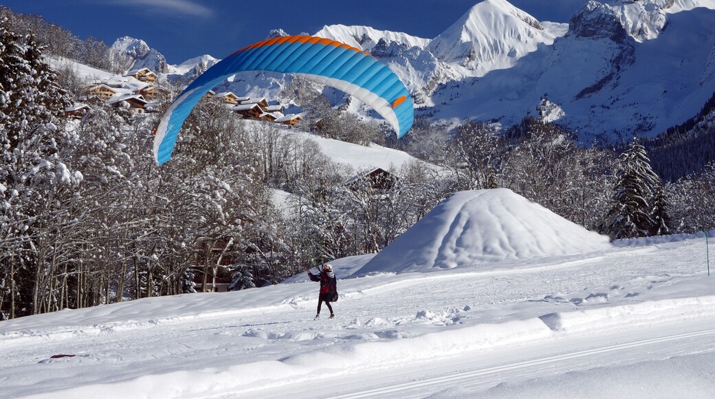 Le Chinaillon