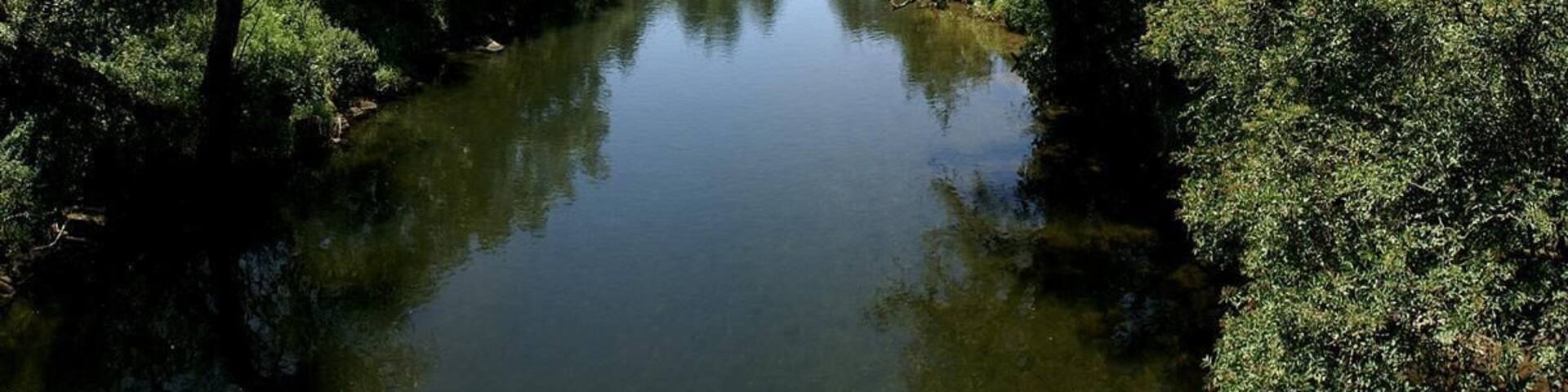 Der Neckar oberhalb von Horb
