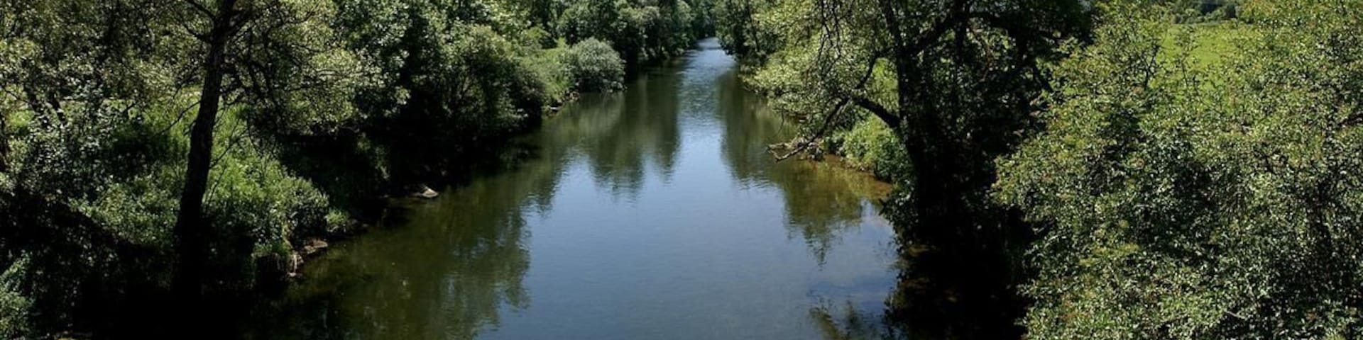 Der Neckar oberhalb von Horb