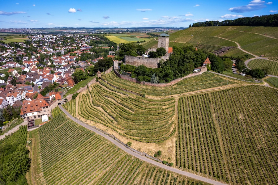 A town with a historic castle surrounded by terraced vineyards.