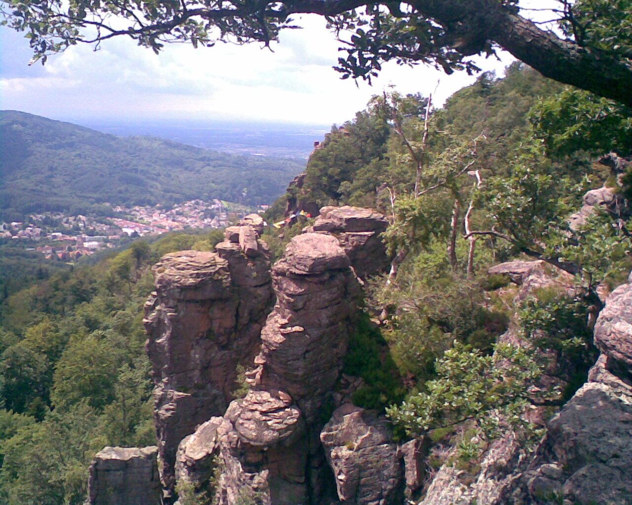 Battertfelsen Baden-Baden, Schwarzwald, black forest, forêt noire