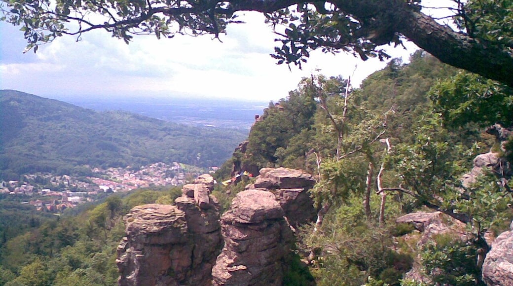 Battertfelsen Baden-Baden, Schwarzwald, black forest, forêt noire