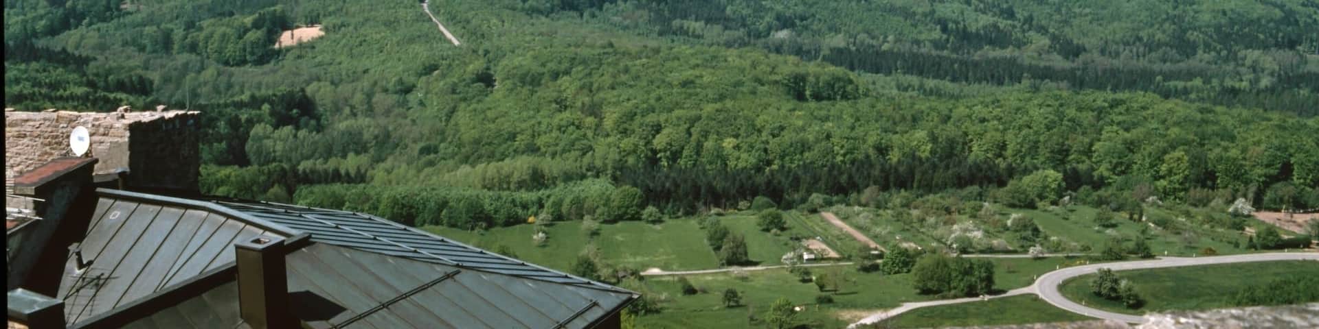 A mountainous landscape with dense forests, a winding road, and a distant city.