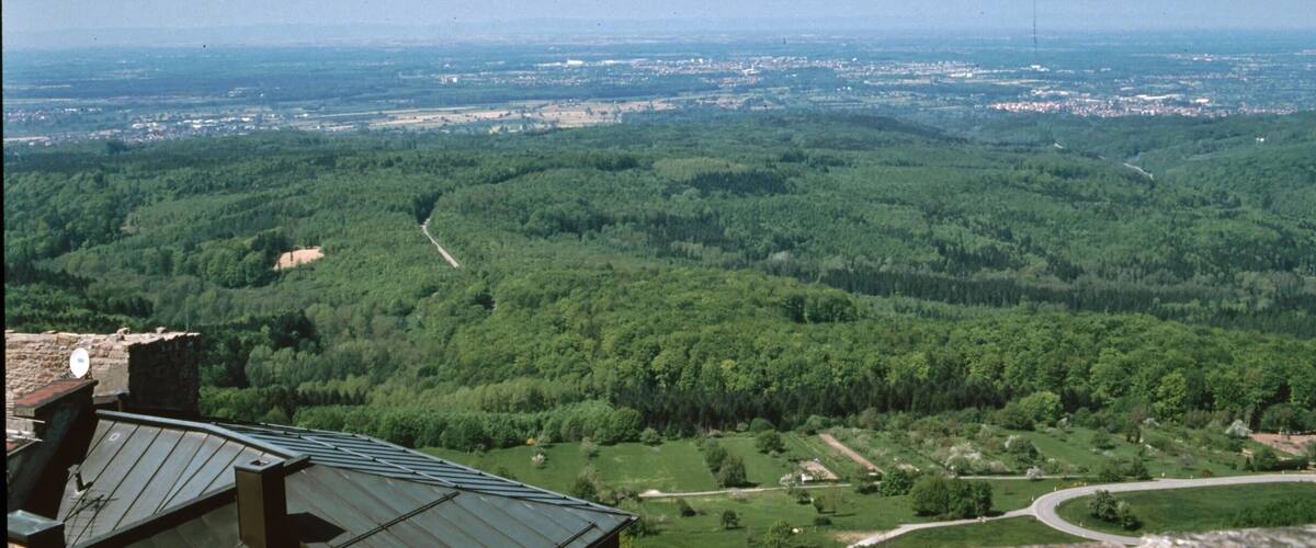 A mountainous landscape with dense forests, a winding road, and a distant city.