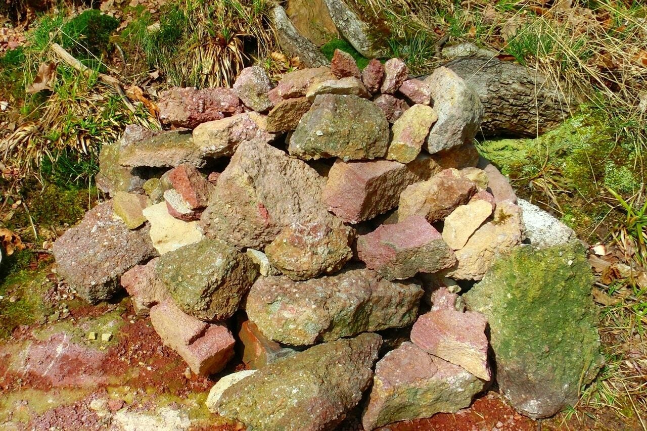 Buntsandstein im Nordschwarzwald