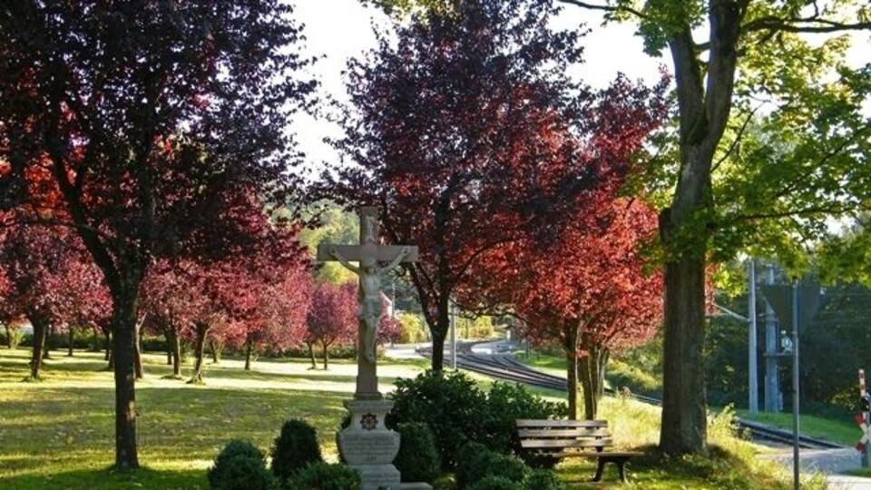 A cemetery with a cross monument, trees with red leaves, a bench, and a road in the background.