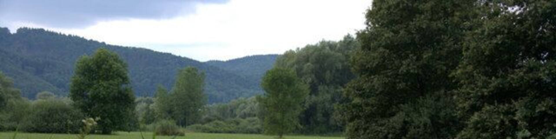 Naturschutzgebiet, Ludwigshafen (Nature reserve, Ludwigshafen)