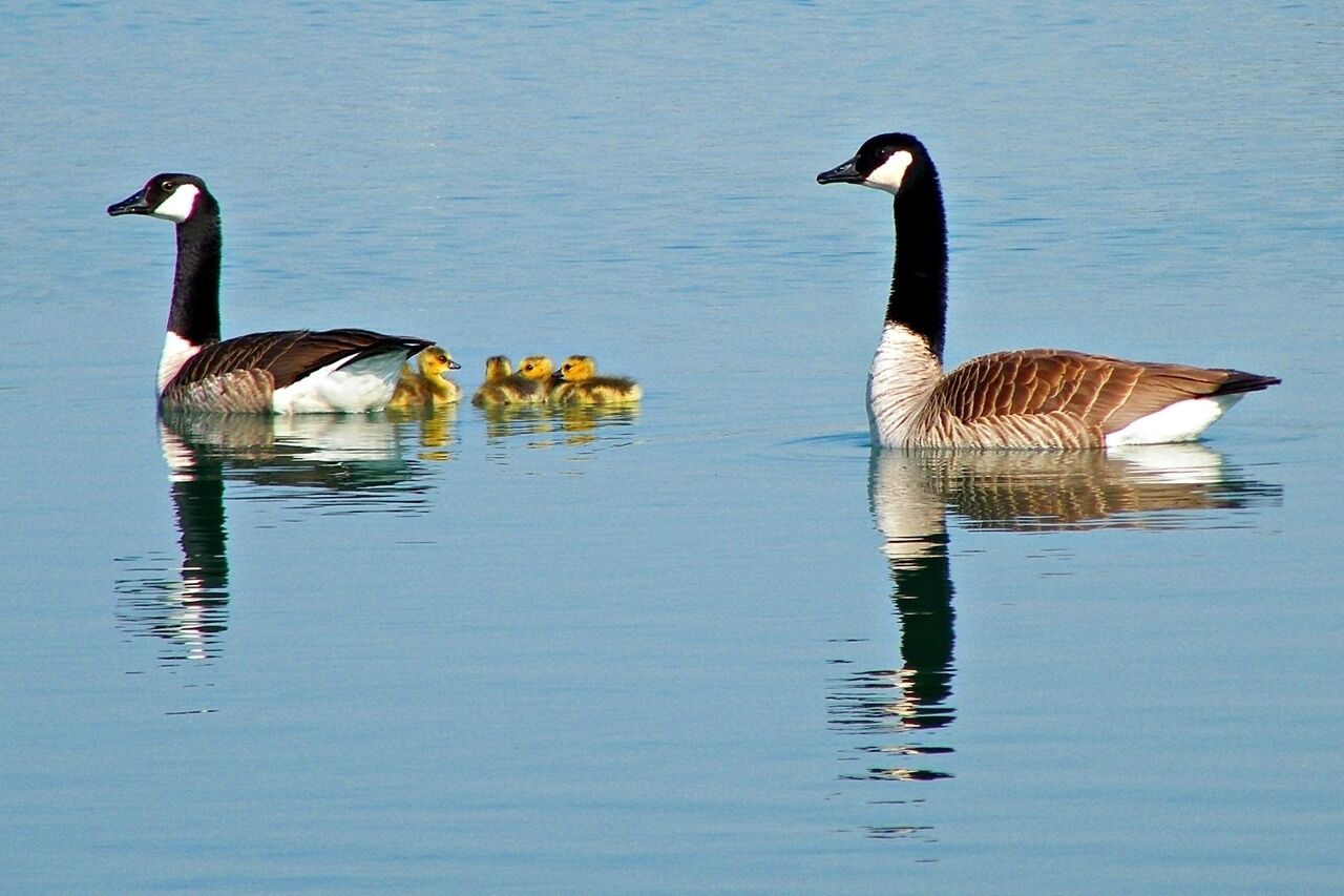 Ludwigsburg, Germany