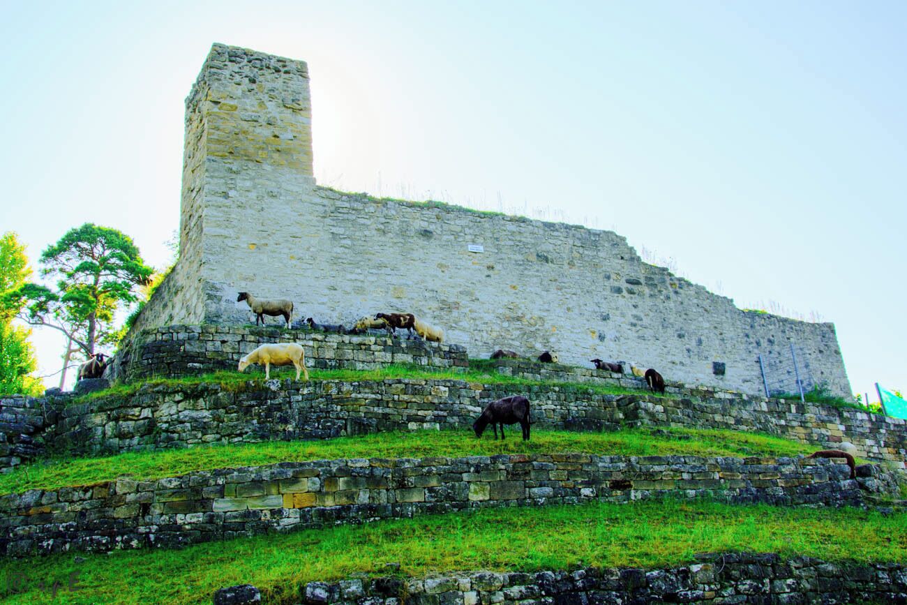 Ruine Burg Hoheneck samt Befestigungswerken und sogenanntem Bergfried