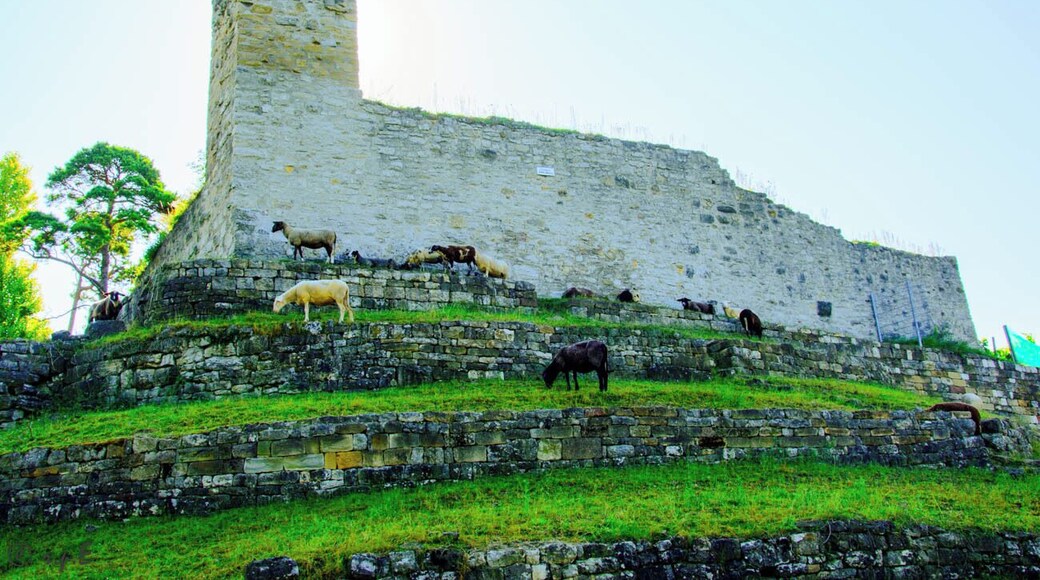 Ruine Burg Hoheneck samt Befestigungswerken und sogenanntem Bergfried