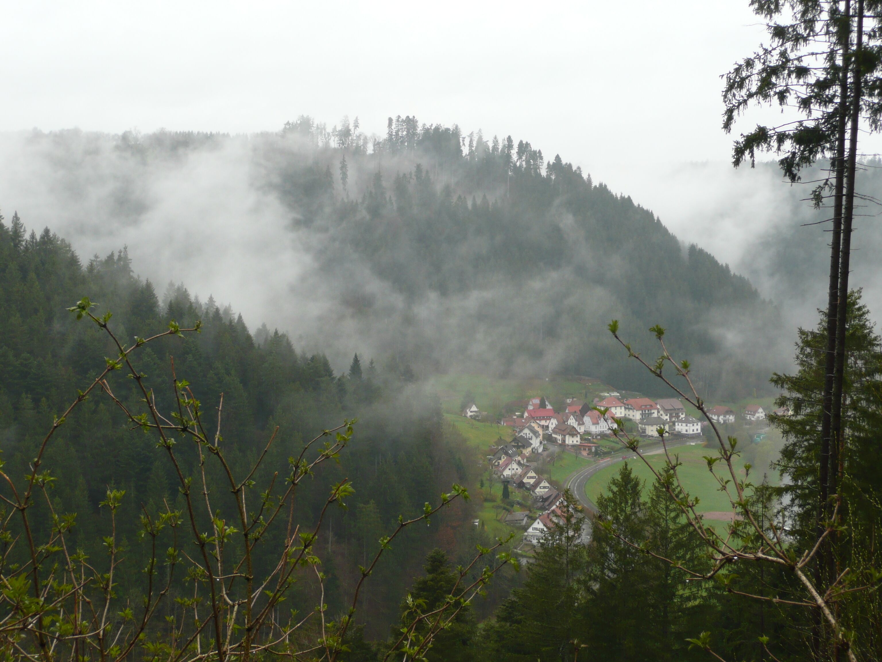 Nagoldtal bei Kentheim