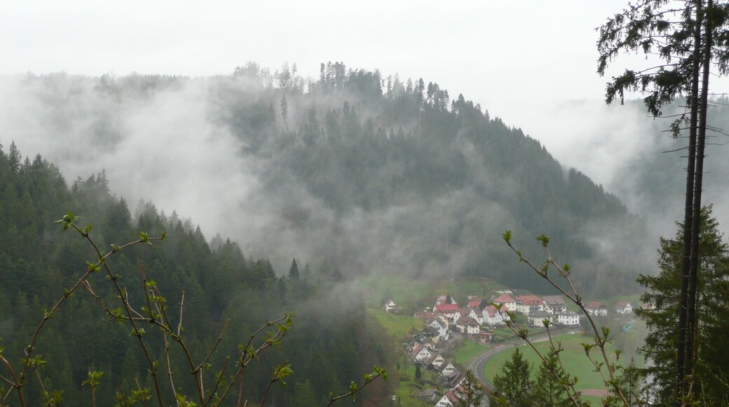 Nagoldtal bei Kentheim