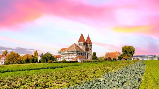 Une église avec un toit rouge et un clocher, entourée de champs verdoyants et de maisons.
