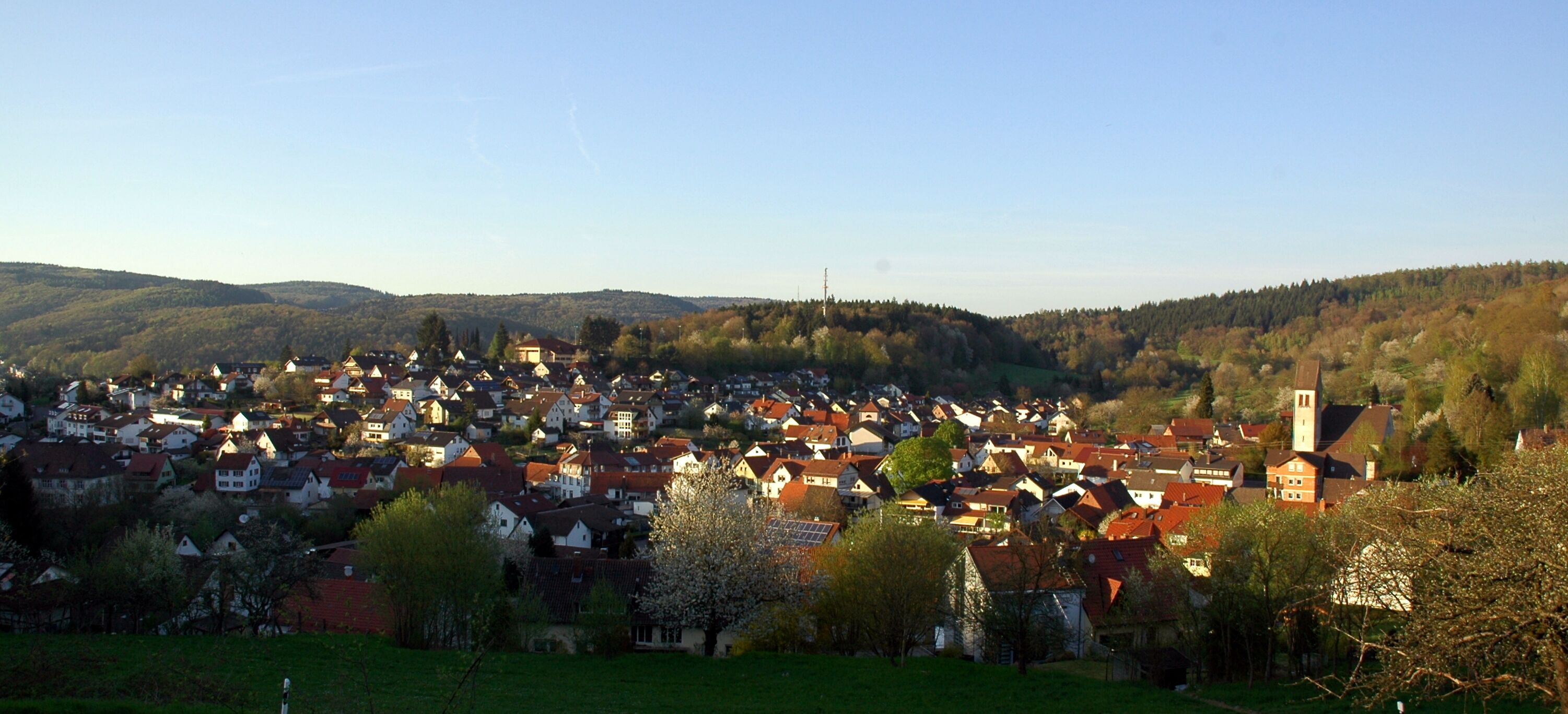 A town with red-roofed houses, a church, and green hills in the background.