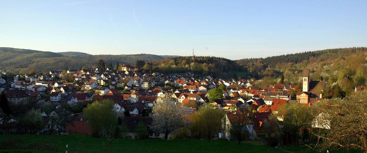 A town with red-roofed houses, a church, and green hills in the background.