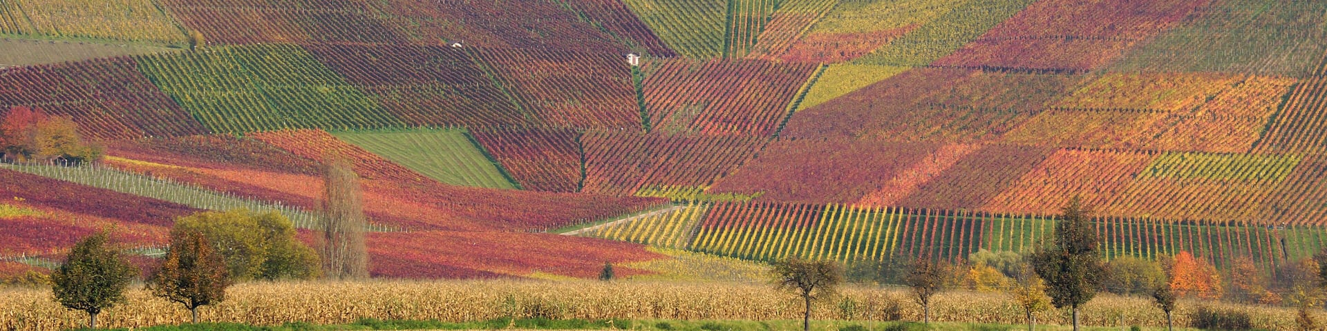 Neipperg 11/2014