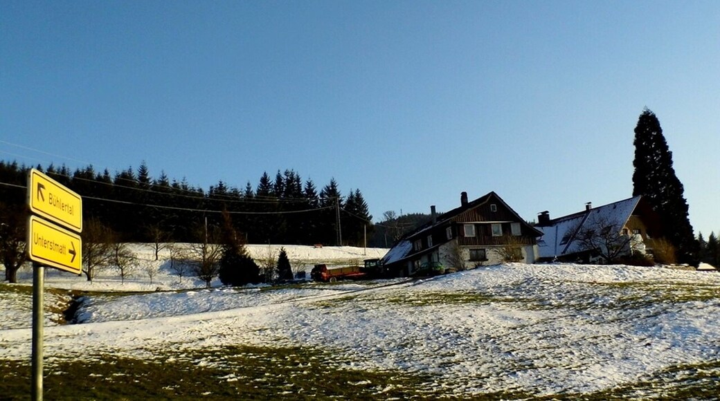 Schwarzwaldbauernhof