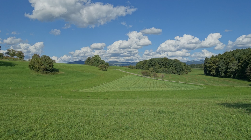 Landschaft Hohe Flum