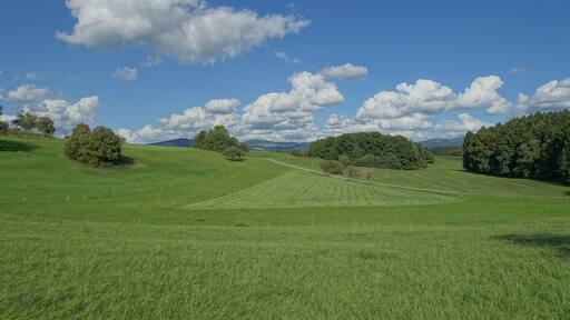 Landschaft Hohe Flum