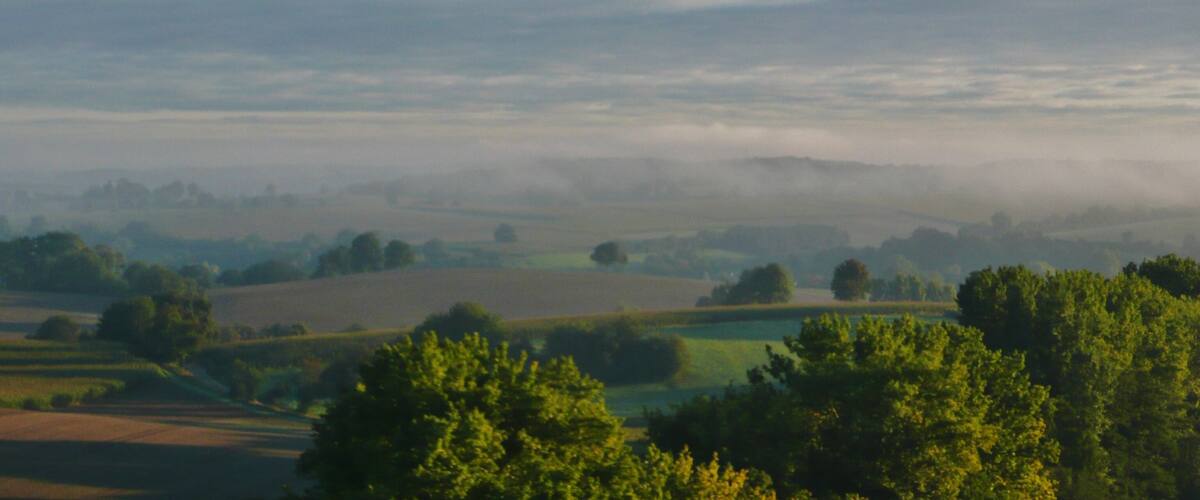 A misty valley with rolling hills and scattered trees.
