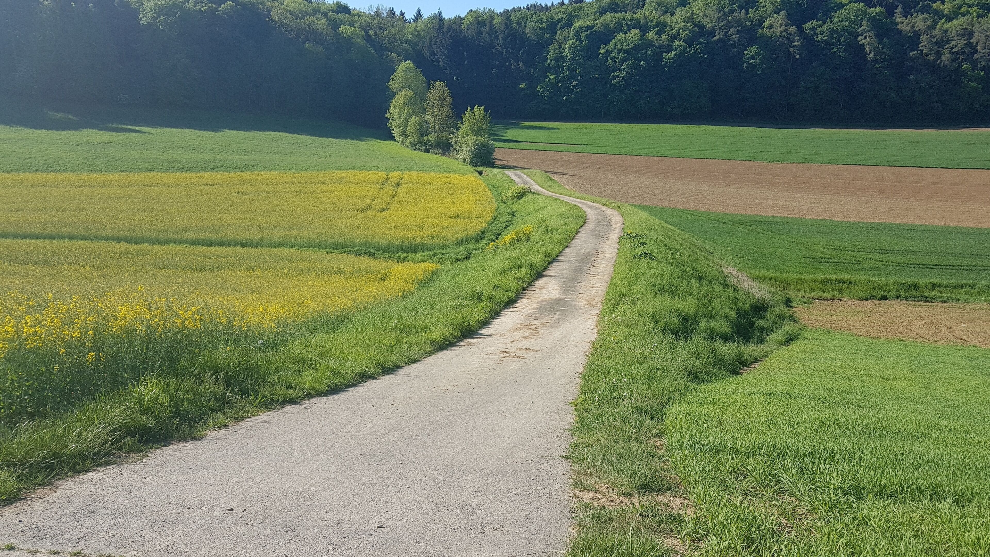 Hochwasserrückhaltebecken Oberbalbach