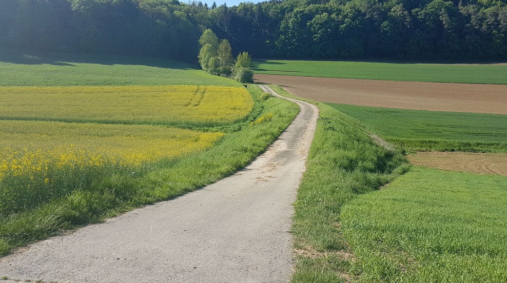 Hochwasserrückhaltebecken Oberbalbach
