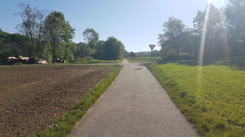 Der Balbachtalradweg zwischen Unterbalbach und Oberbalbach