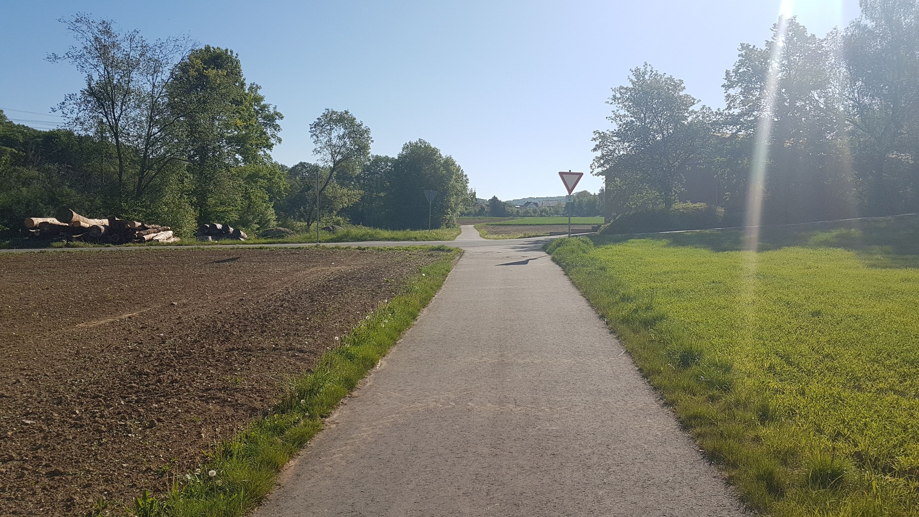 A paved path flanked by fields and trees, leading to a junction with a yield sign.