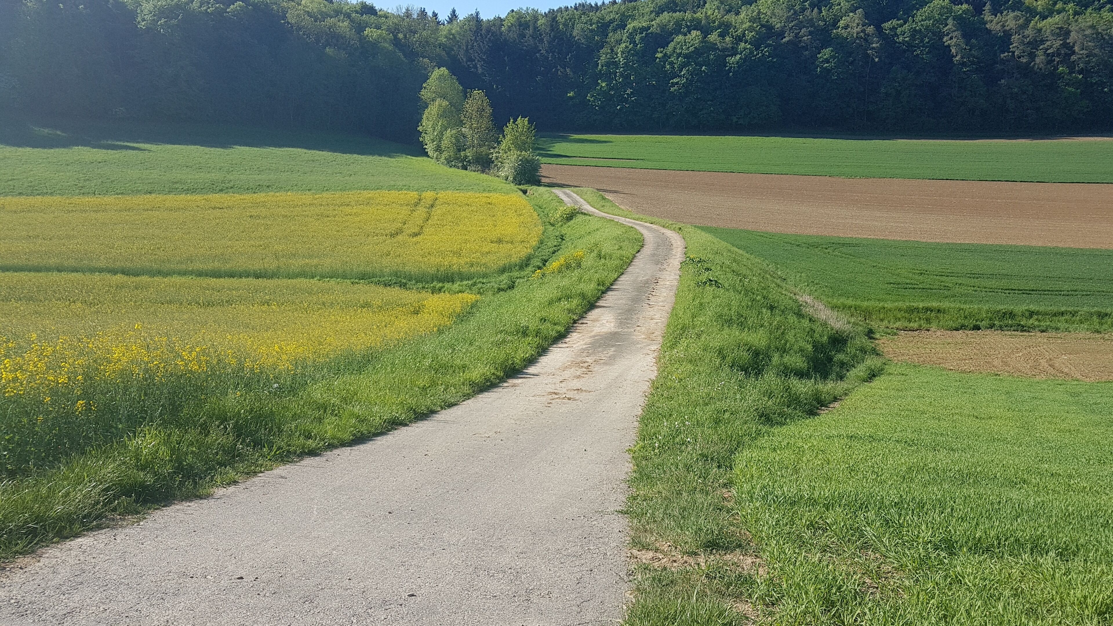 Hochwasserrückhaltebecken Oberbalbach